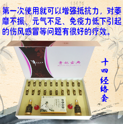 十四经络套