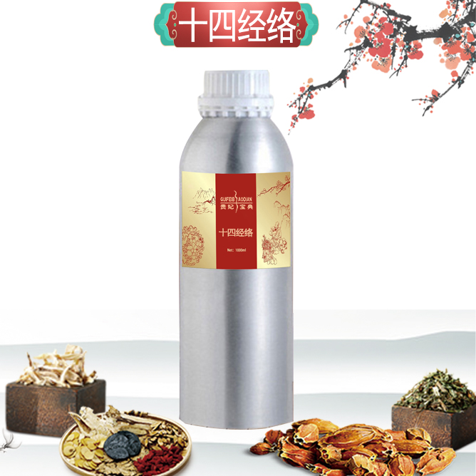 十四经络