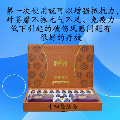 十四经络套