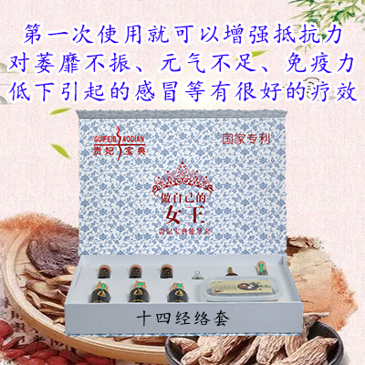 十四经络套